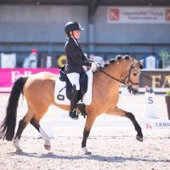 Lee Mikaelsson