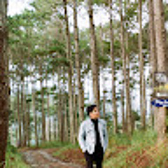 arch.namtran