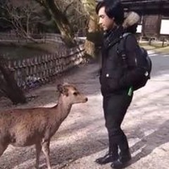 Andrés López Martínez