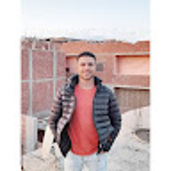Ramy Elsadany
