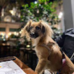 Arnaudwolf