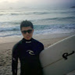 HANZ HF