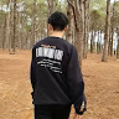 グエン ディンズン