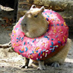 ‮