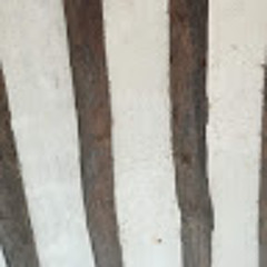 castorsito