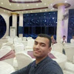 Ahmed Mohamed Ragab