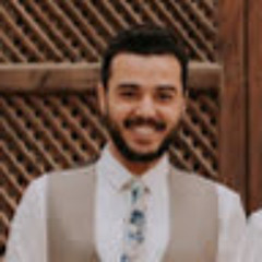 diaa ibrahim
