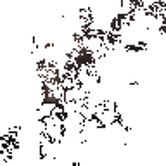 Zxz13