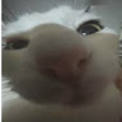 [SESI] Gui