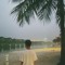 Mạnh Chiến