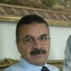 مجدي القاضي