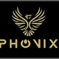 Phonix Repair centre