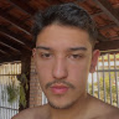Guilherme Rocha Ribeiro