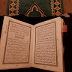Nailah Abdul-Nafi