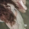 Andreea C