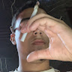 SHEIK TREM BXD - PERFIL 2