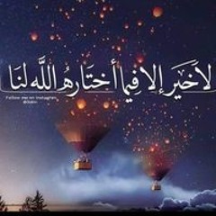 Nashwa Gamal