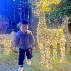 Ngọc Anh