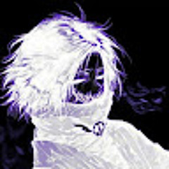 Кирилл Кривоносов