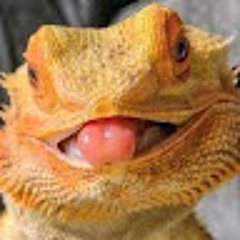 Coopxx4