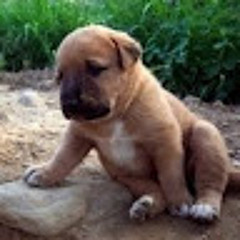 곧휴가철인철수