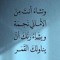 Mohamed Karam