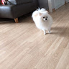 평범한 두남자의 코노