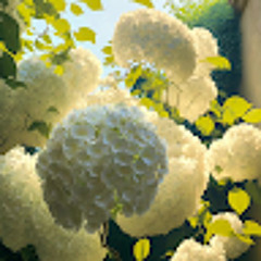 Honeyella