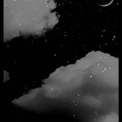 Haneen Ehab Shaiboub