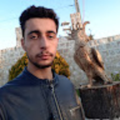 amim