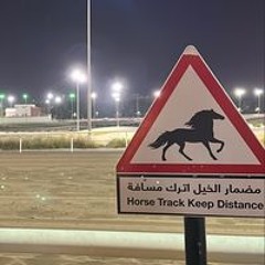 عبدالرحمن العجمي
