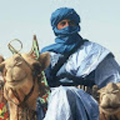همام الهاشمي