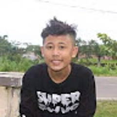 Muhammad Alawi Nasution
