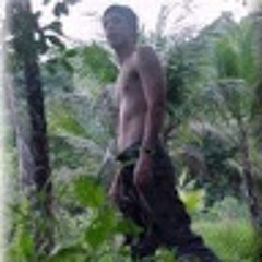 Luiz Flávio Mendonça