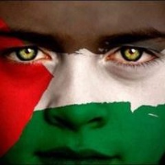 بهاء الدين فتحي محمود