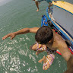 José Henrique Santos