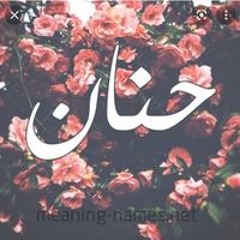 مريم محمد