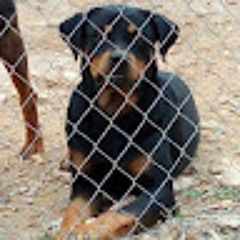 Jose Antonio Moñino Saura