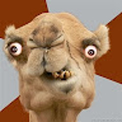 Bass Camel
