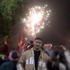 Vĩ Vĩ Phan