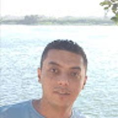 Wael Salem