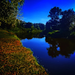 Никита Бугрим