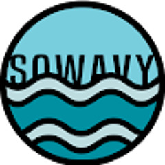 ZiggySoWavy