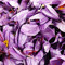 fatemeh .N.e