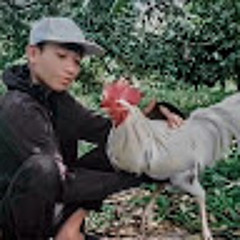 Đại K