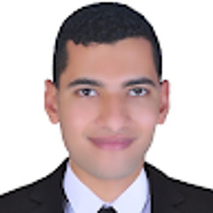 Amr Ahmed Elbaz