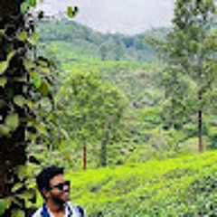 Vigneshwar Reddy Malreddy