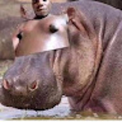 The_Rayis