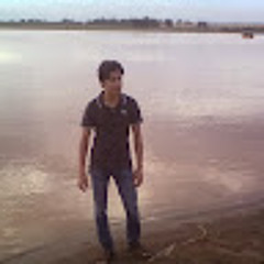 mateei niazi
