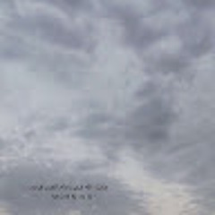 نواف السيد